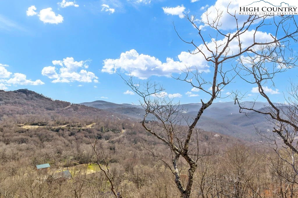 Image number 11 for the current listing