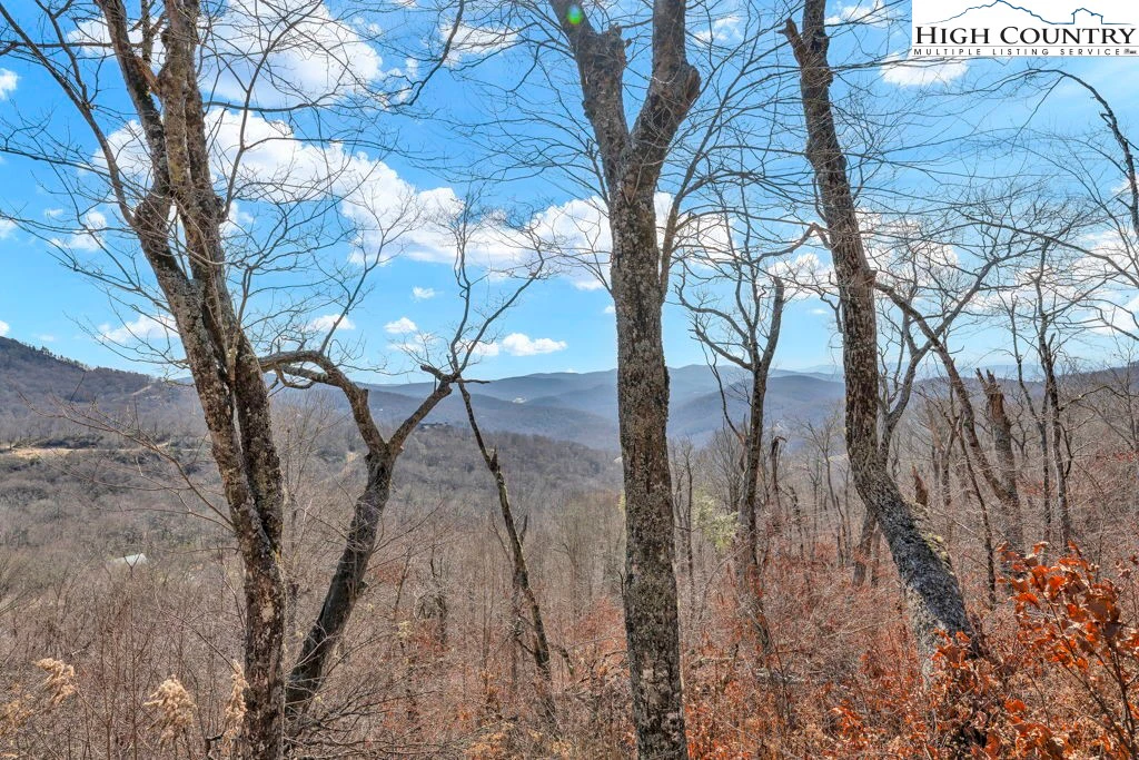 Image number 10 for the current listing