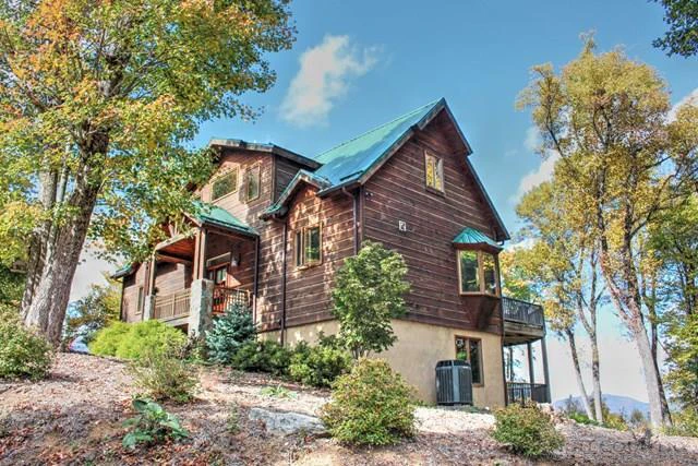 Image number 17 for the current listing
