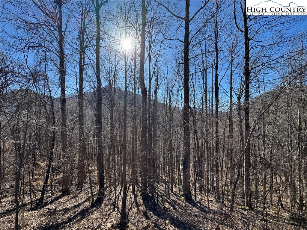 Image number 19 for the current listing