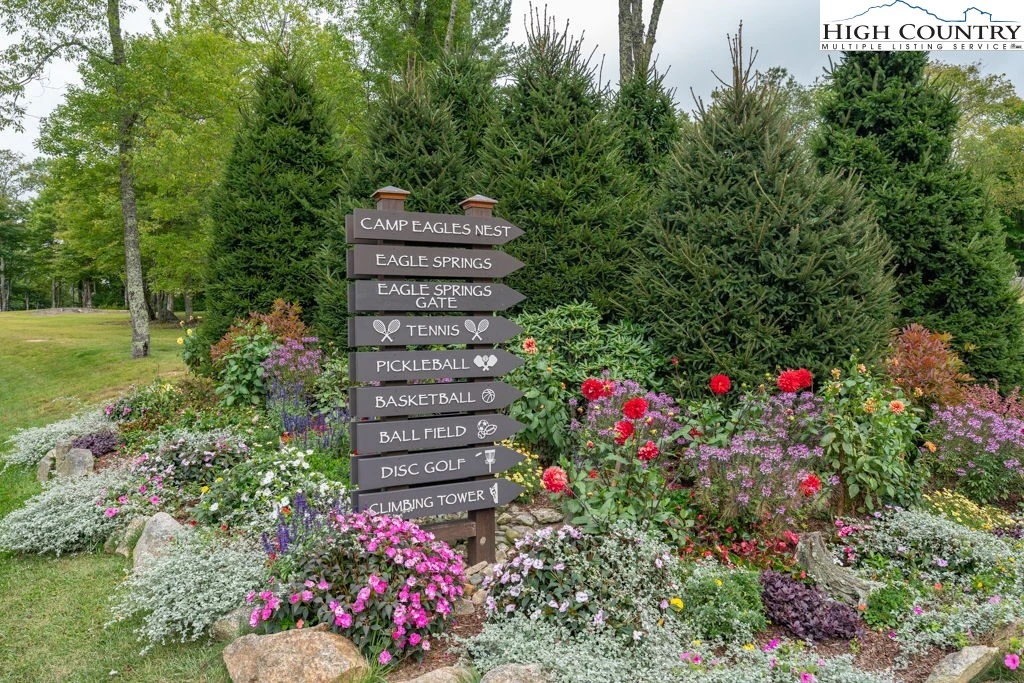 Image number 1 for the current listing