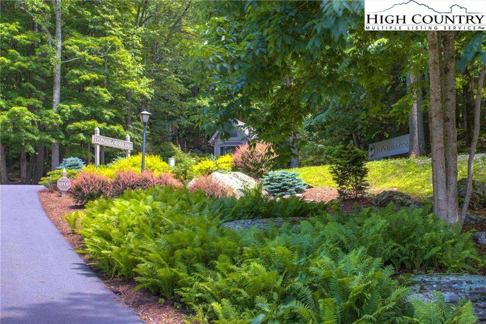 Image number 15 for the current listing