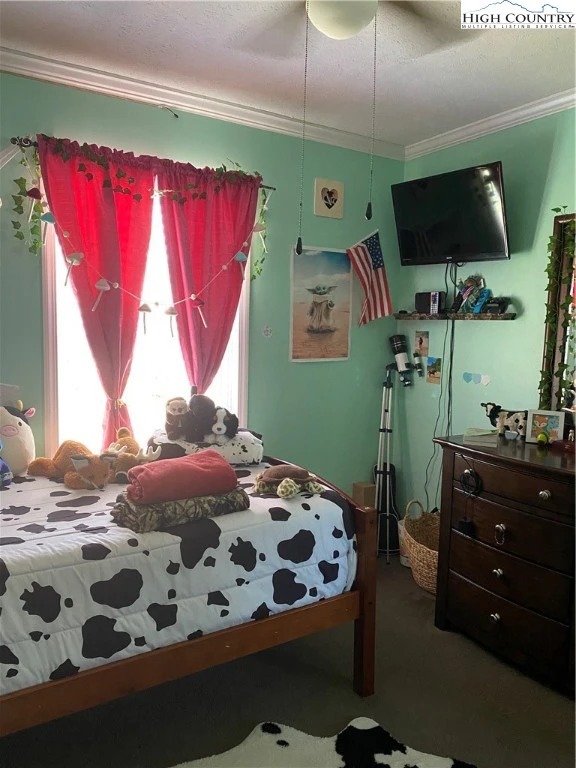Image number 10 for the current listing