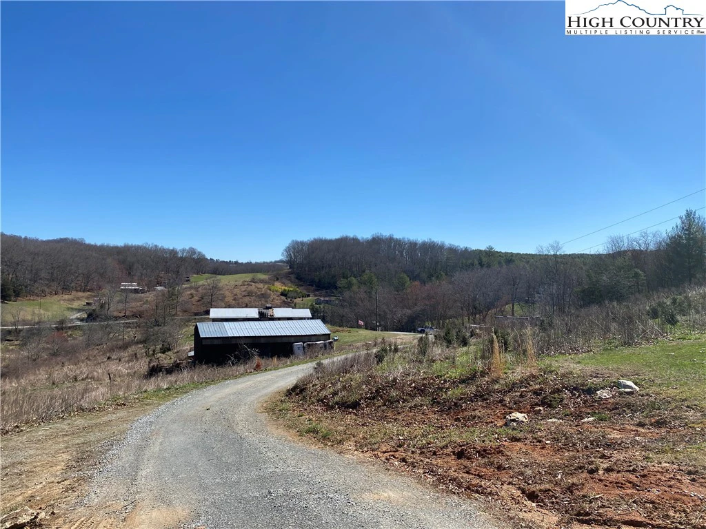 Image number 14 for the current listing