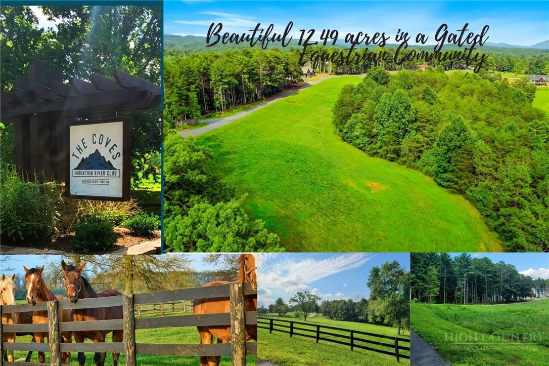 Image number 1 for the current listing