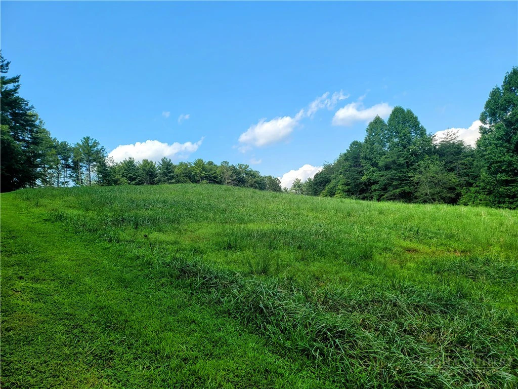Image number 10 for the current listing