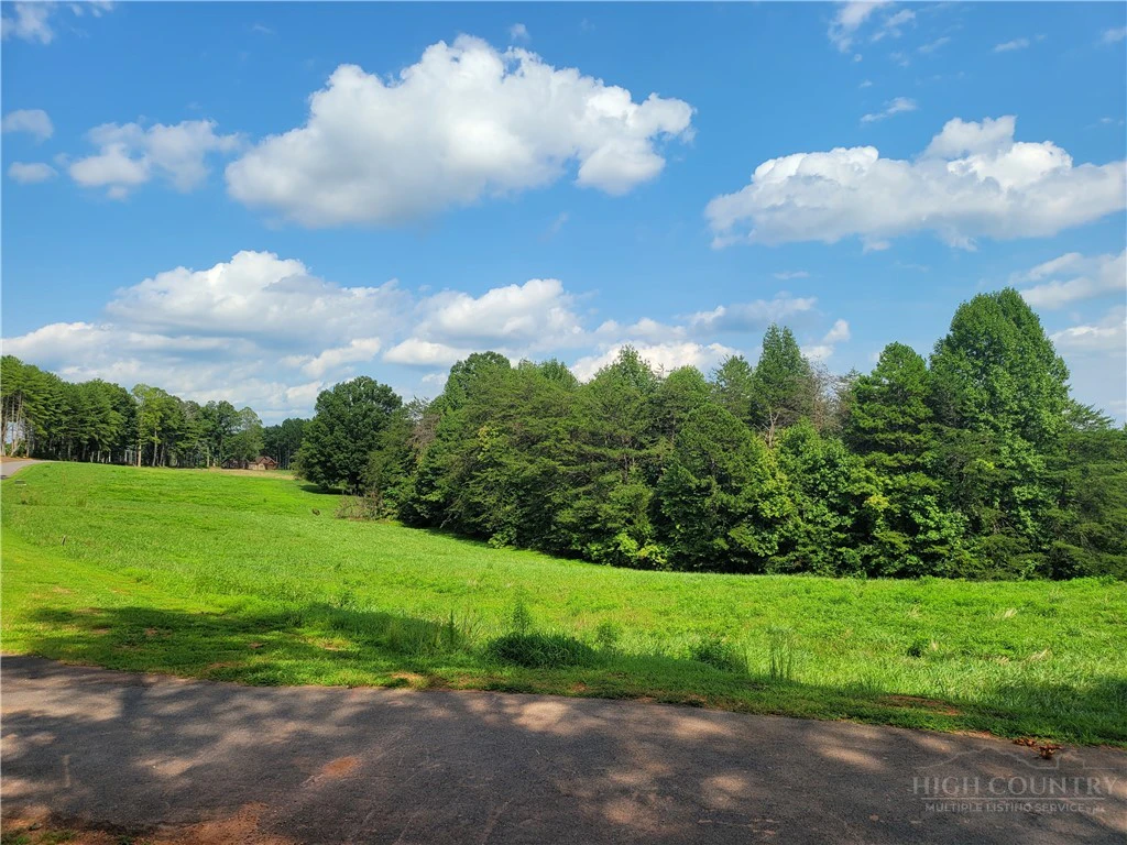 Image number 3 for the current listing