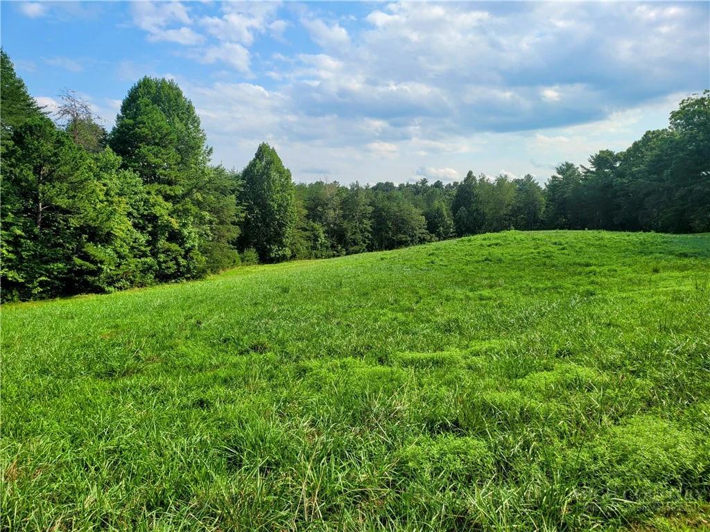 Image number 4 for the current listing