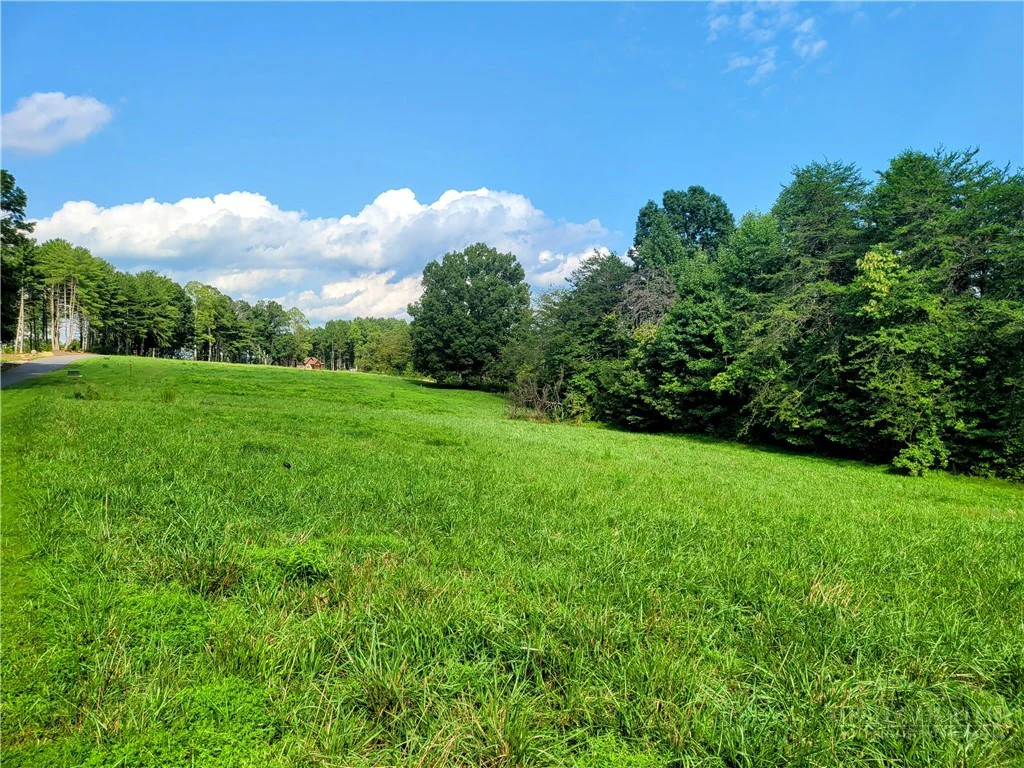 Image number 5 for the current listing