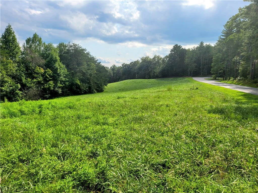 Image number 6 for the current listing