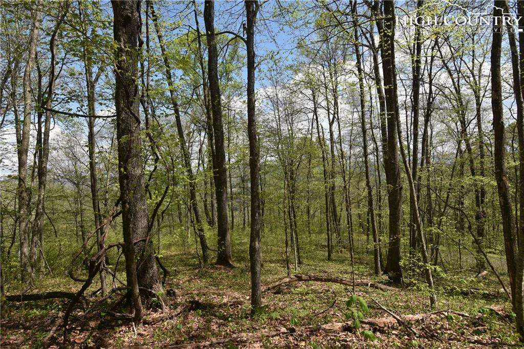 Image number 7 for the current listing