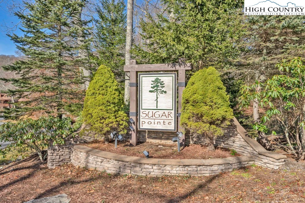 Image number 7 for the current listing