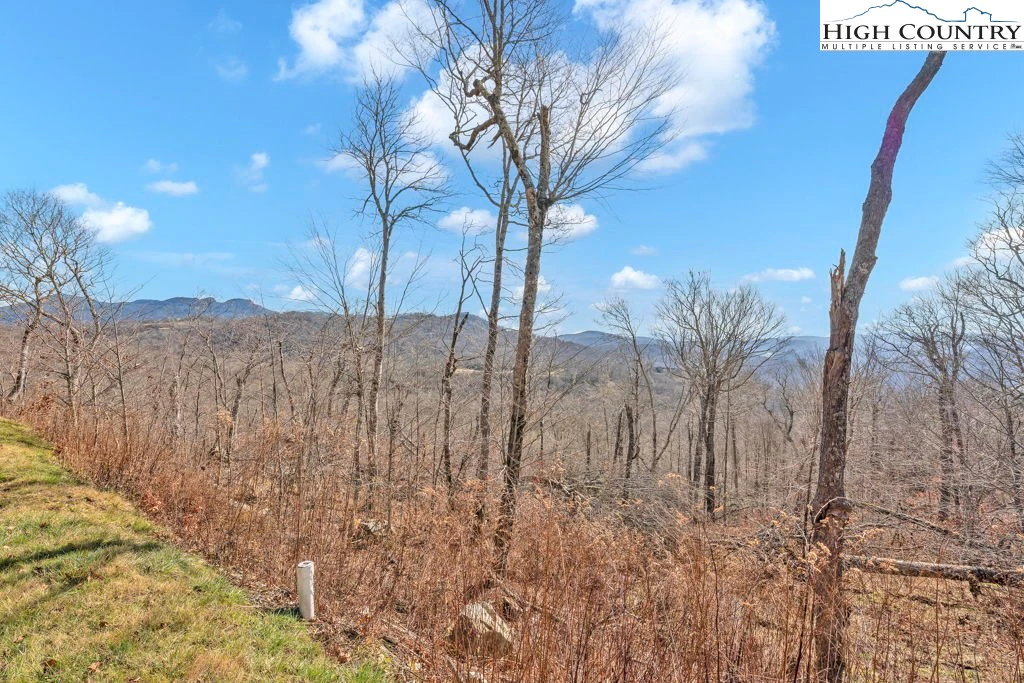 Image number 1 for the current listing