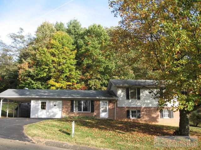 Image number 1 for the current listing