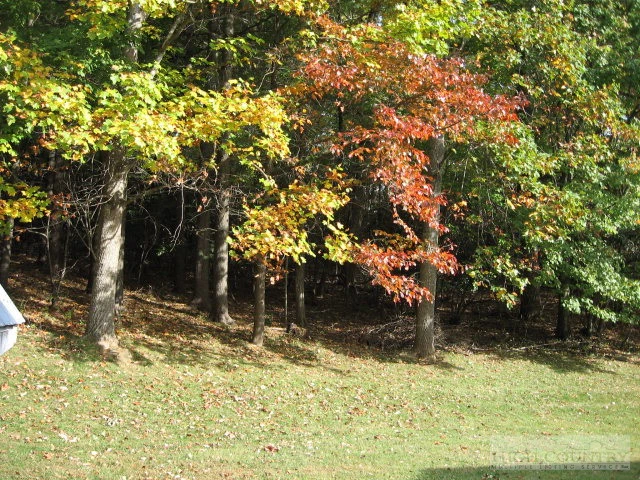 Image number 3 for the current listing