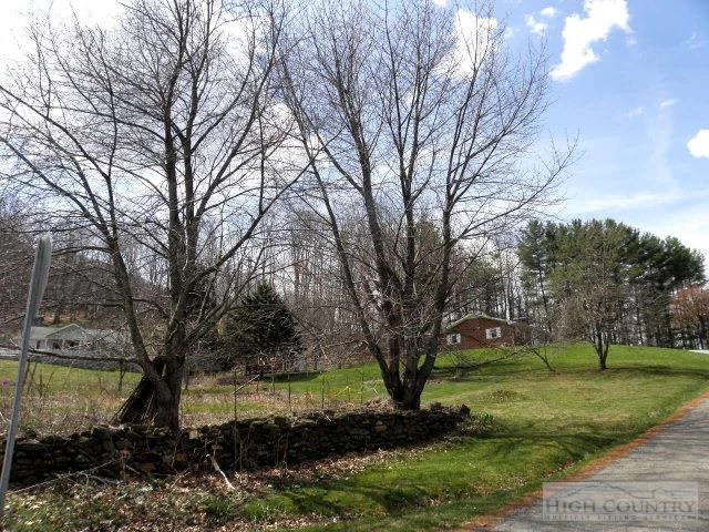 Image number 12 for the current listing