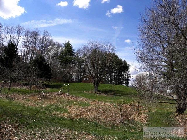 Image number 11 for the current listing