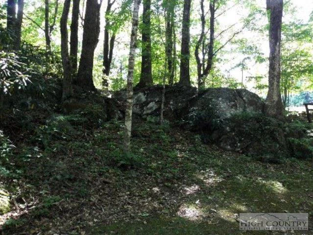 Image number 13 for the current listing