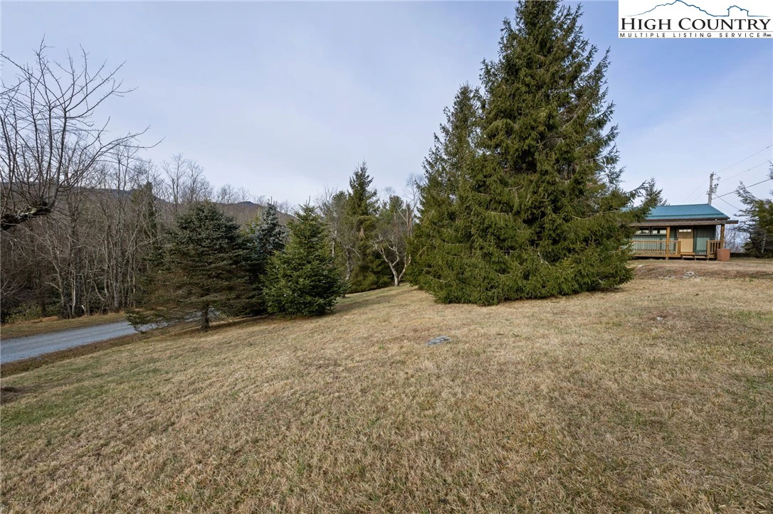 Image number 2 for the current listing