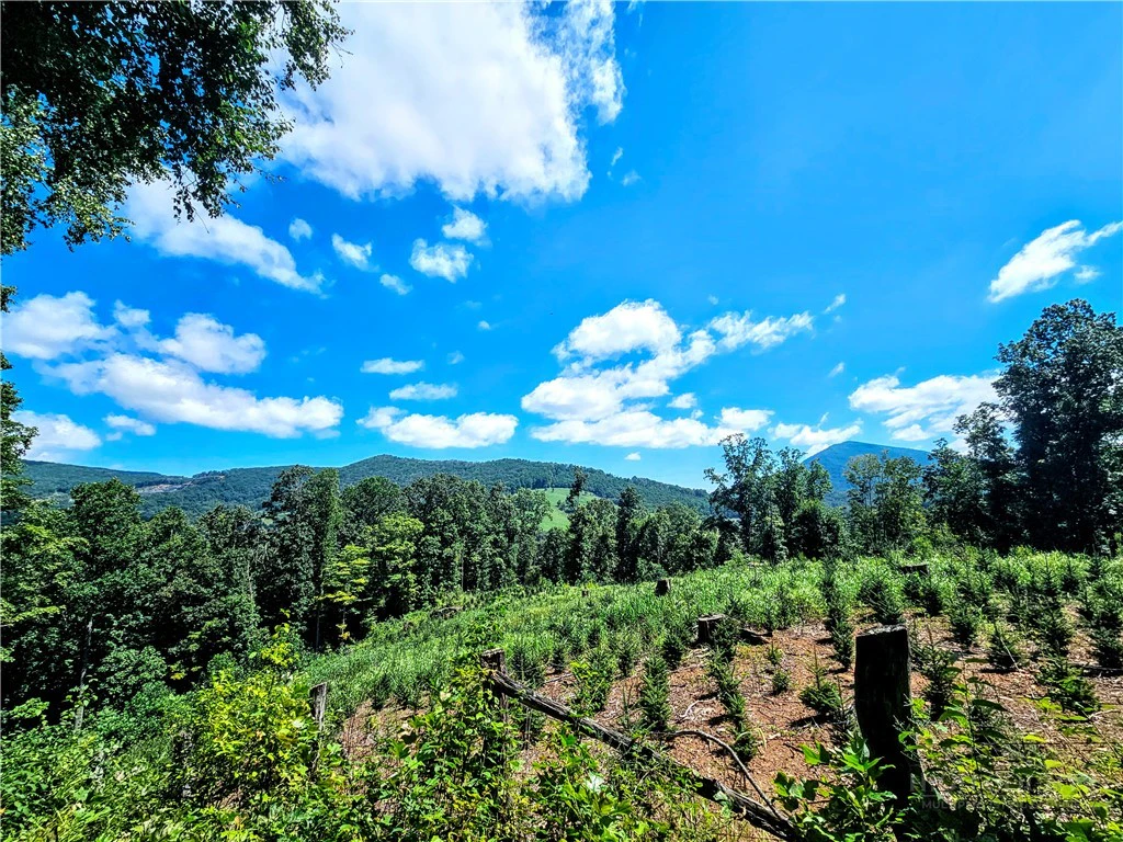 Image number 15 for the current listing