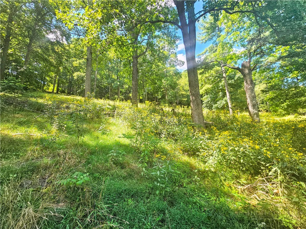 Image number 17 for the current listing