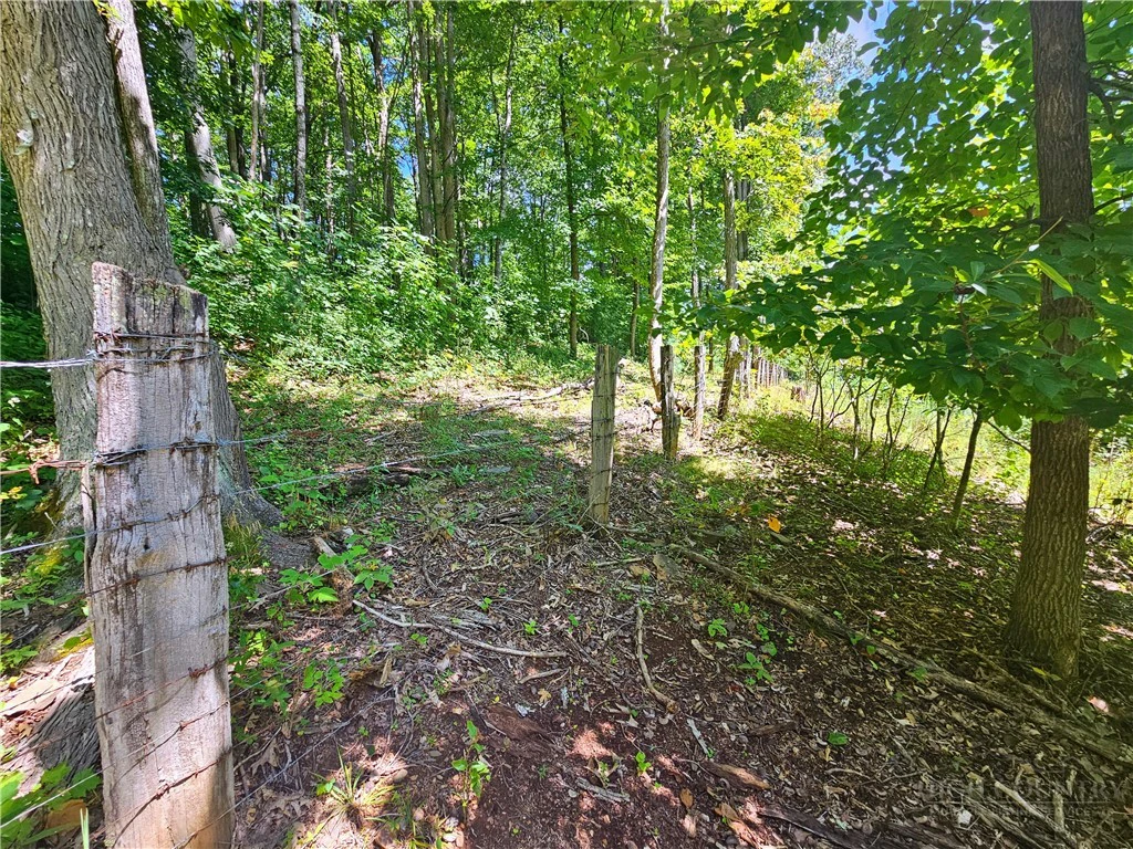 Image number 18 for the current listing