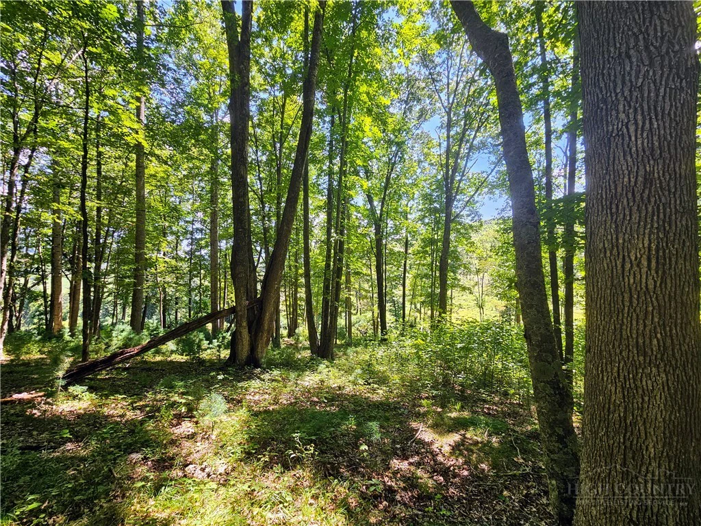 Image number 19 for the current listing