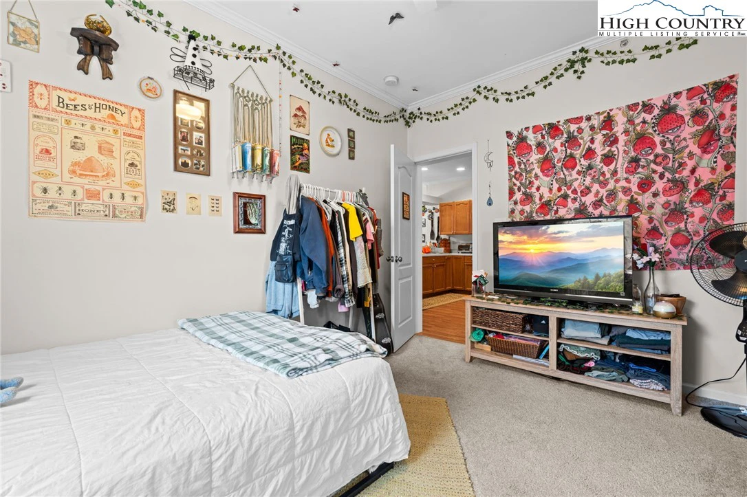 Image number 3 for the current listing