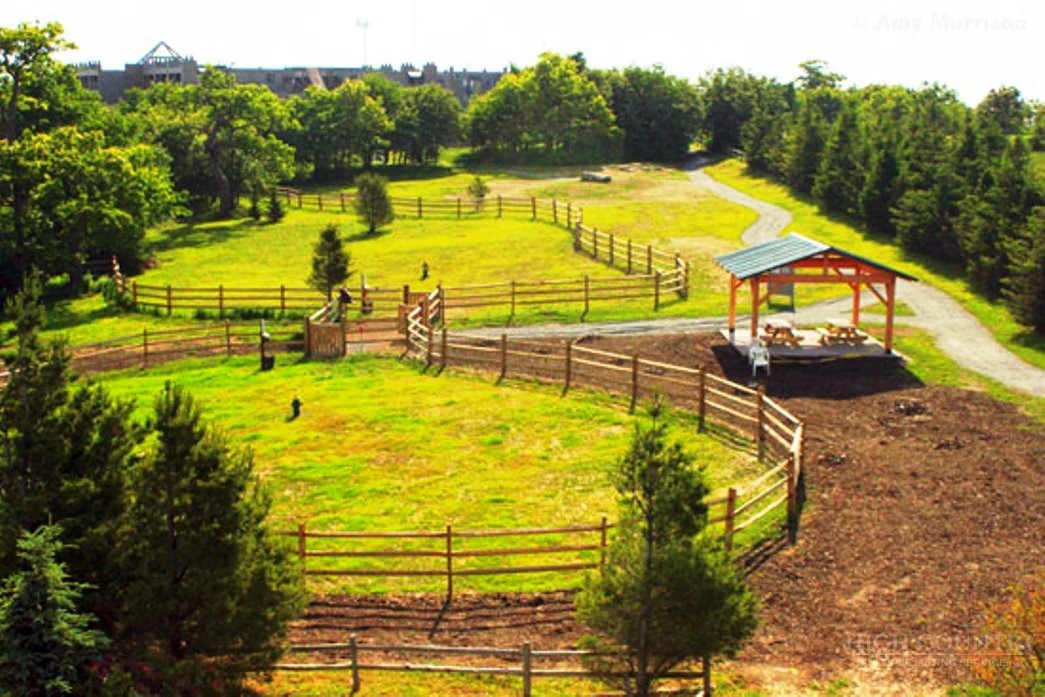 Image number 30 for the current listing