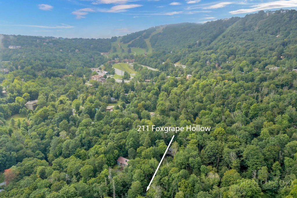 Image number 21 for the current listing
