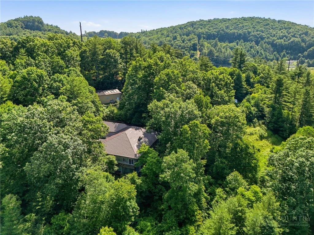 Image number 7 for the current listing