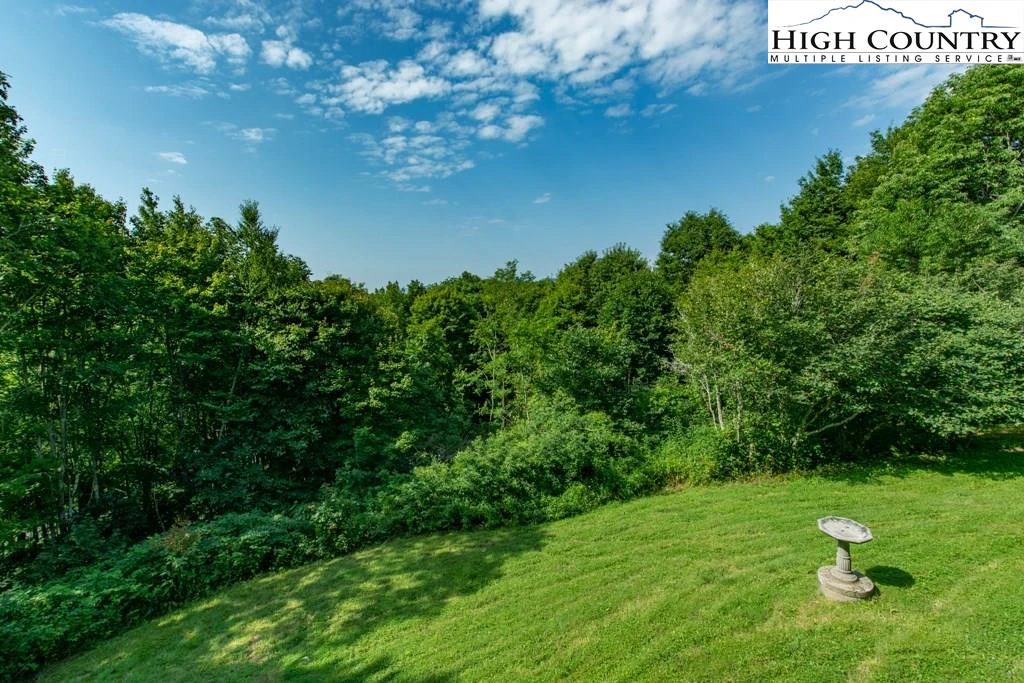 Image number 14 for the current listing