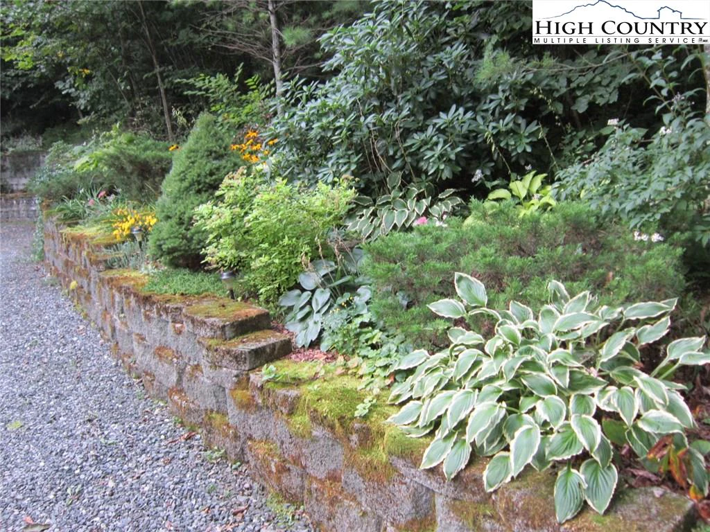Image number 7 for the current listing