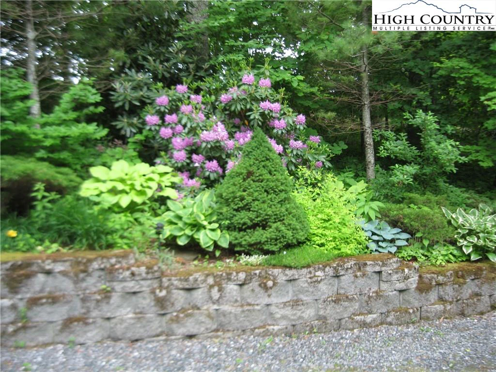 Image number 5 for the current listing