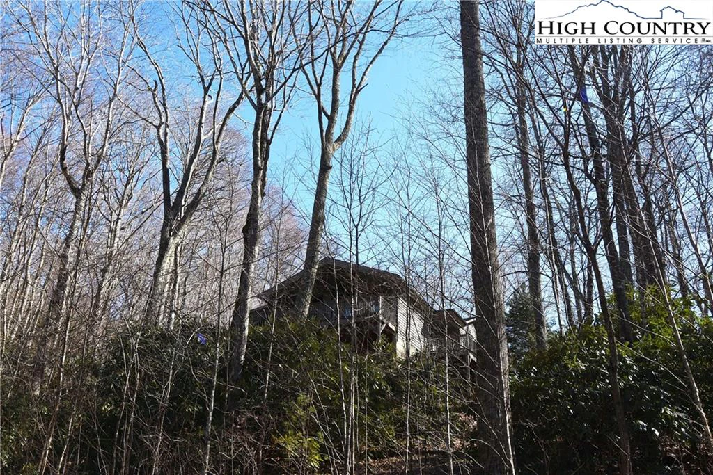 Image number 4 for the current listing