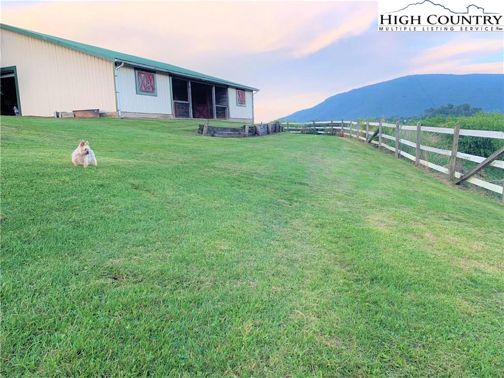Image number 14 for the current listing