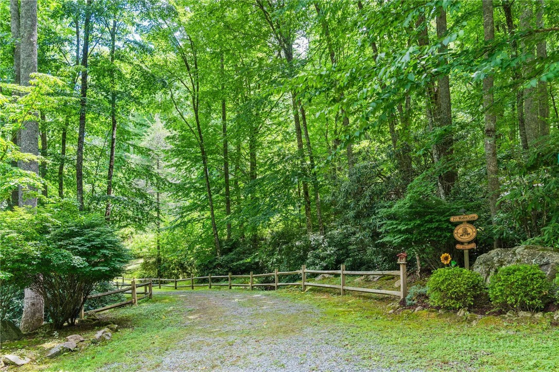 Image number 4 for the current listing