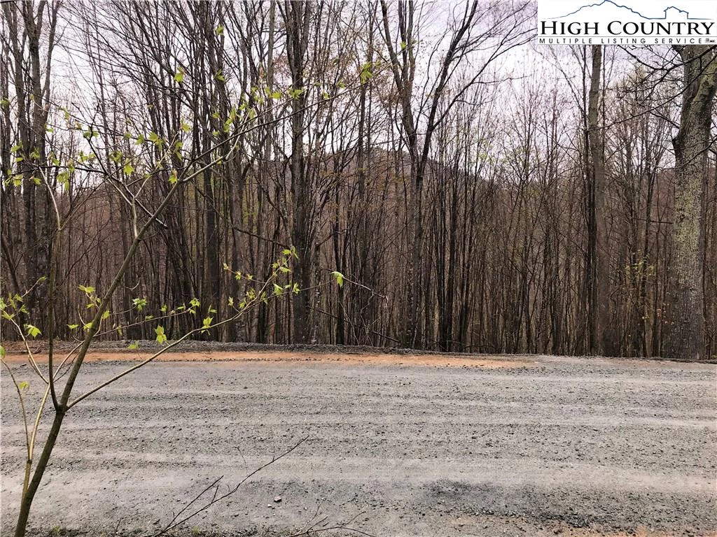 Image number 1 for the current listing