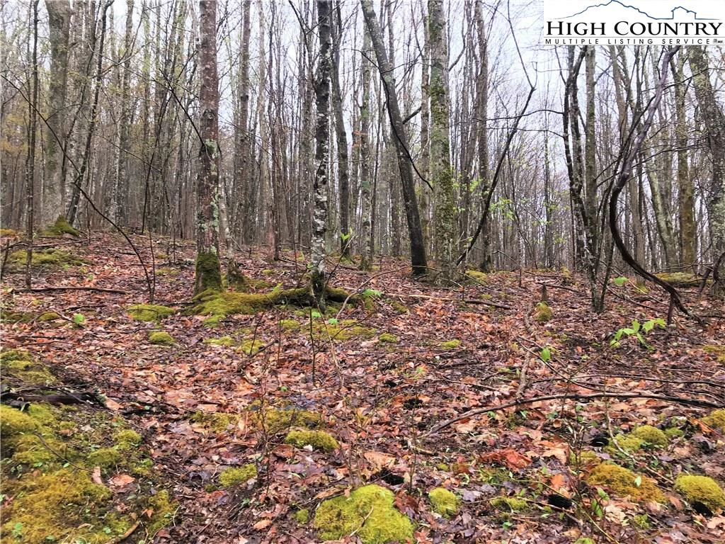 Image number 3 for the current listing