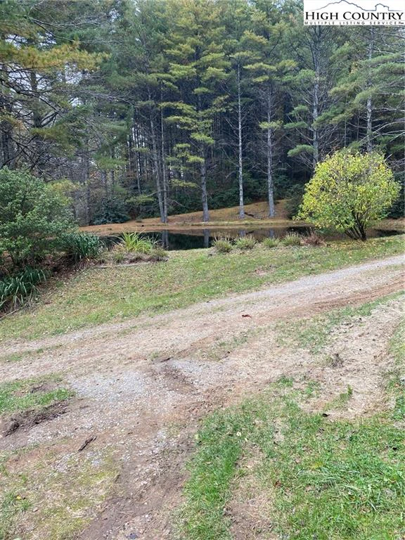 Image number 8 for the current listing