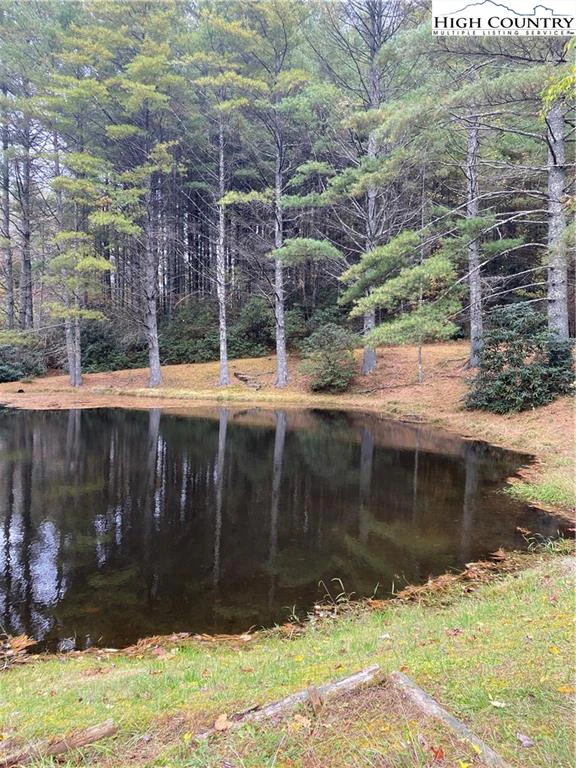 Image number 16 for the current listing