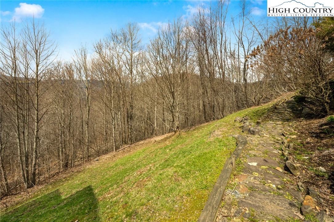 Image number 16 for the current listing