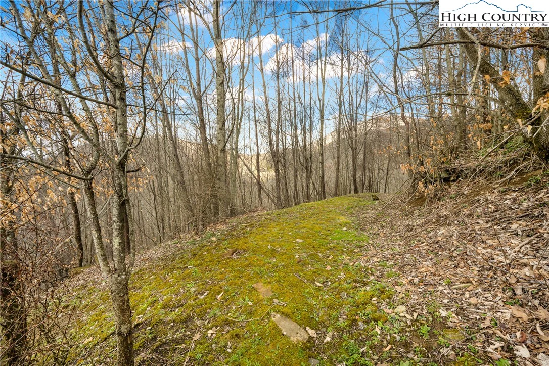 Image number 18 for the current listing