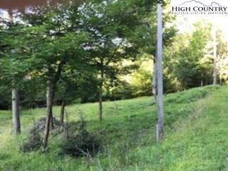 Image number 3 for the current listing