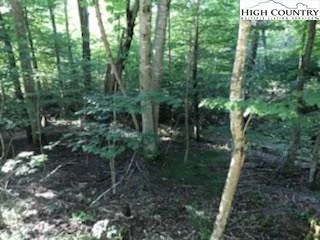 Image number 4 for the current listing