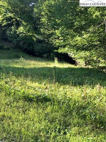 Image number 5 for the current listing