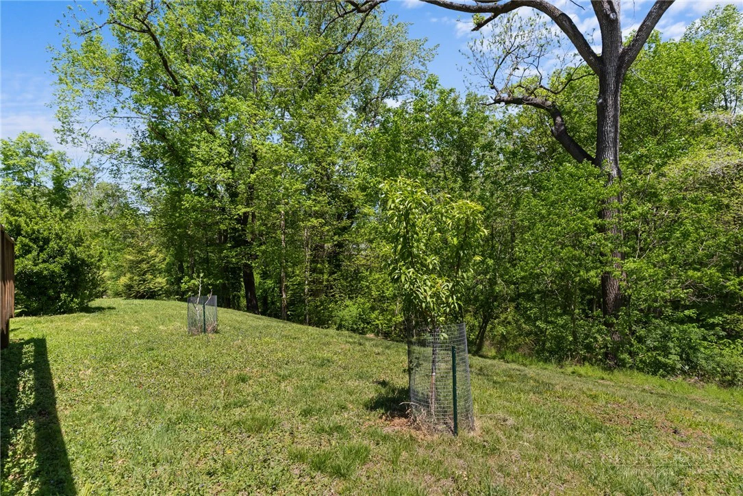 Image number 8 for the current listing