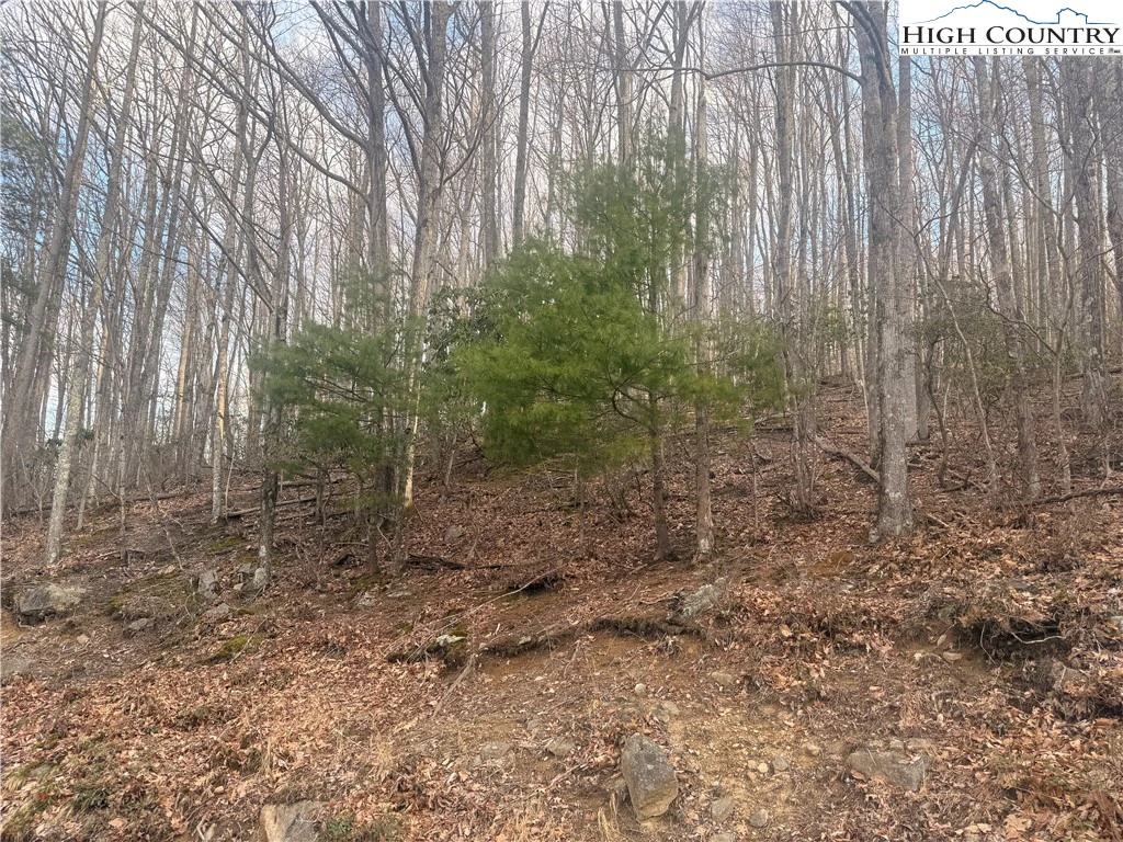 Image number 1 for the current listing