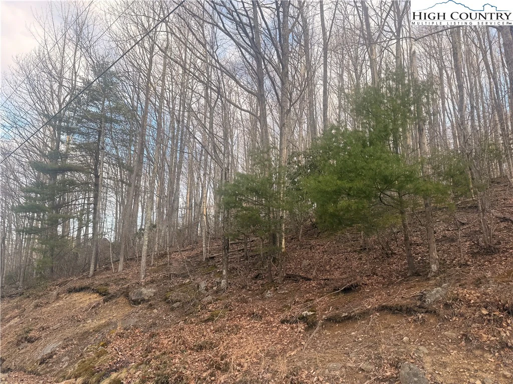 Image number 3 for the current listing