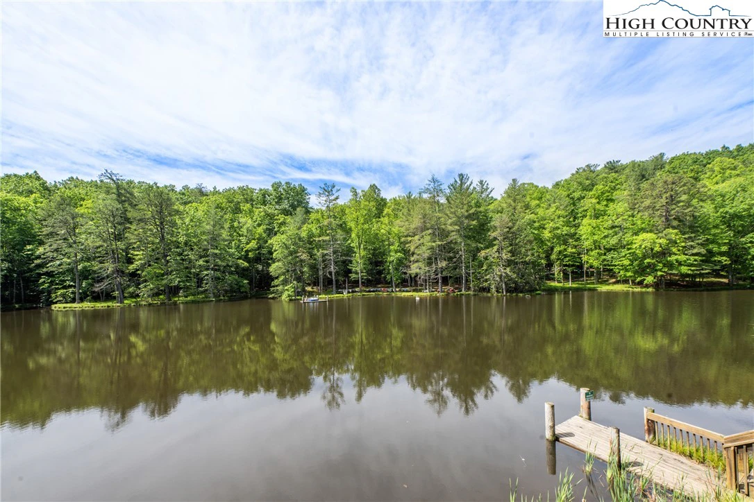 Image number 8 for the current listing